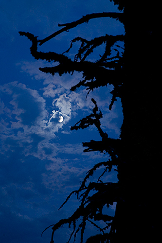 full moon on the mountain