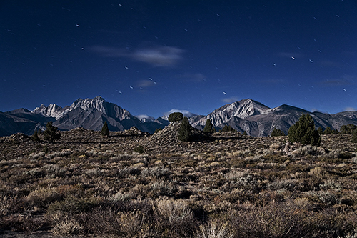 mammoth moonlight