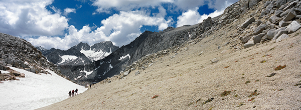 mono pass